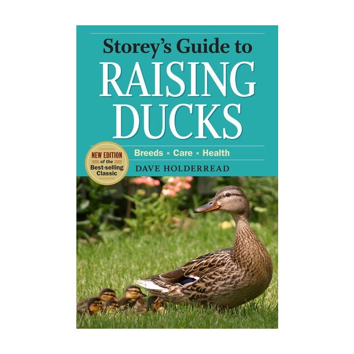 Raising Ducks