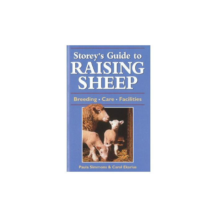 Raising Sheep