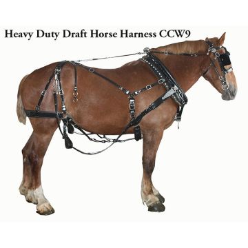 Amish made heavy duty draft horse team harness with BioThane work straps and stainless steel hardware