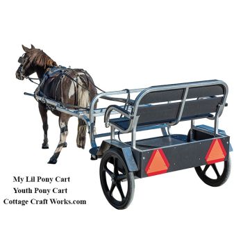 Youth Two-Wheel Pony Cart Amish Built Mini Pony Driving Cart