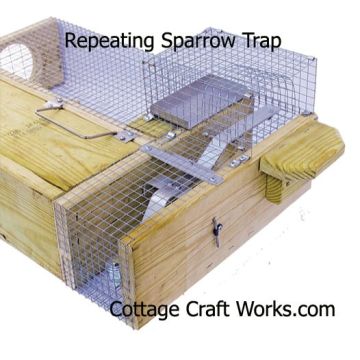 Repeating Sparrow Trap