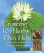 Home Grown Herbs | Growing 101 Herbs That Heal